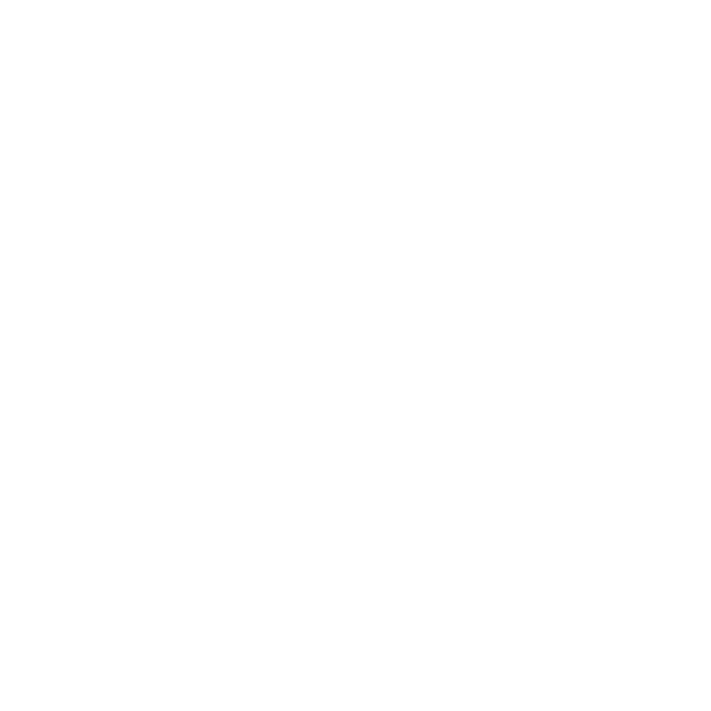 Logo-Levelset-1000px