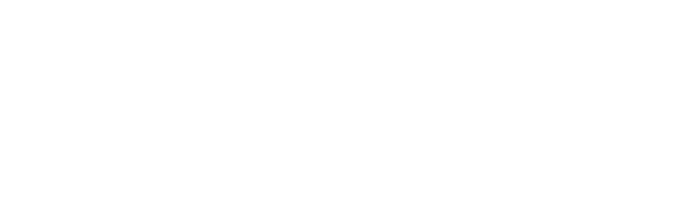 Logo-Levelset-1000x300px