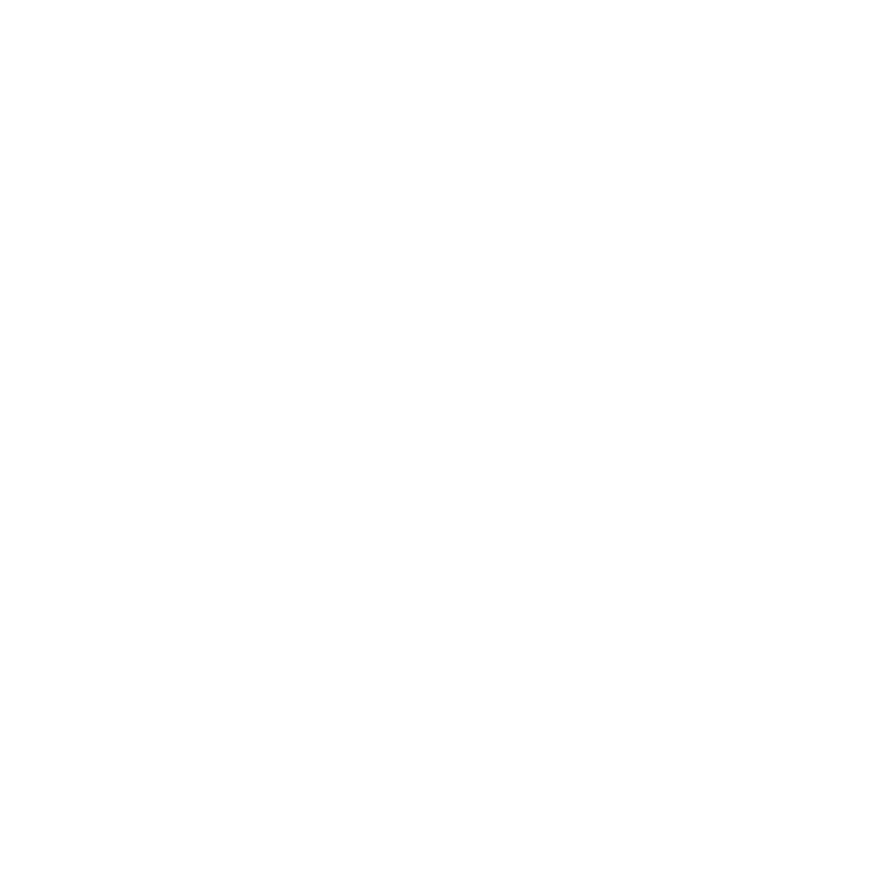 Logo-Revizto-1000px